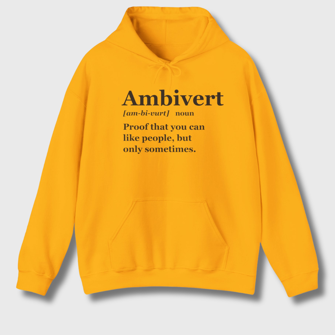 Ambiverts Like People Sometimes Hoodie