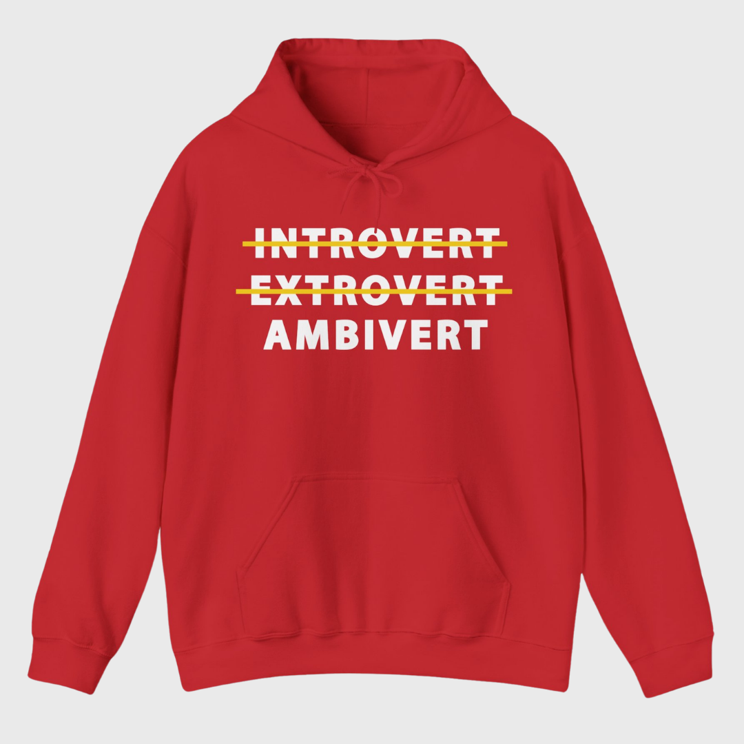 Introvert Extrovert Ambivert Hoodie