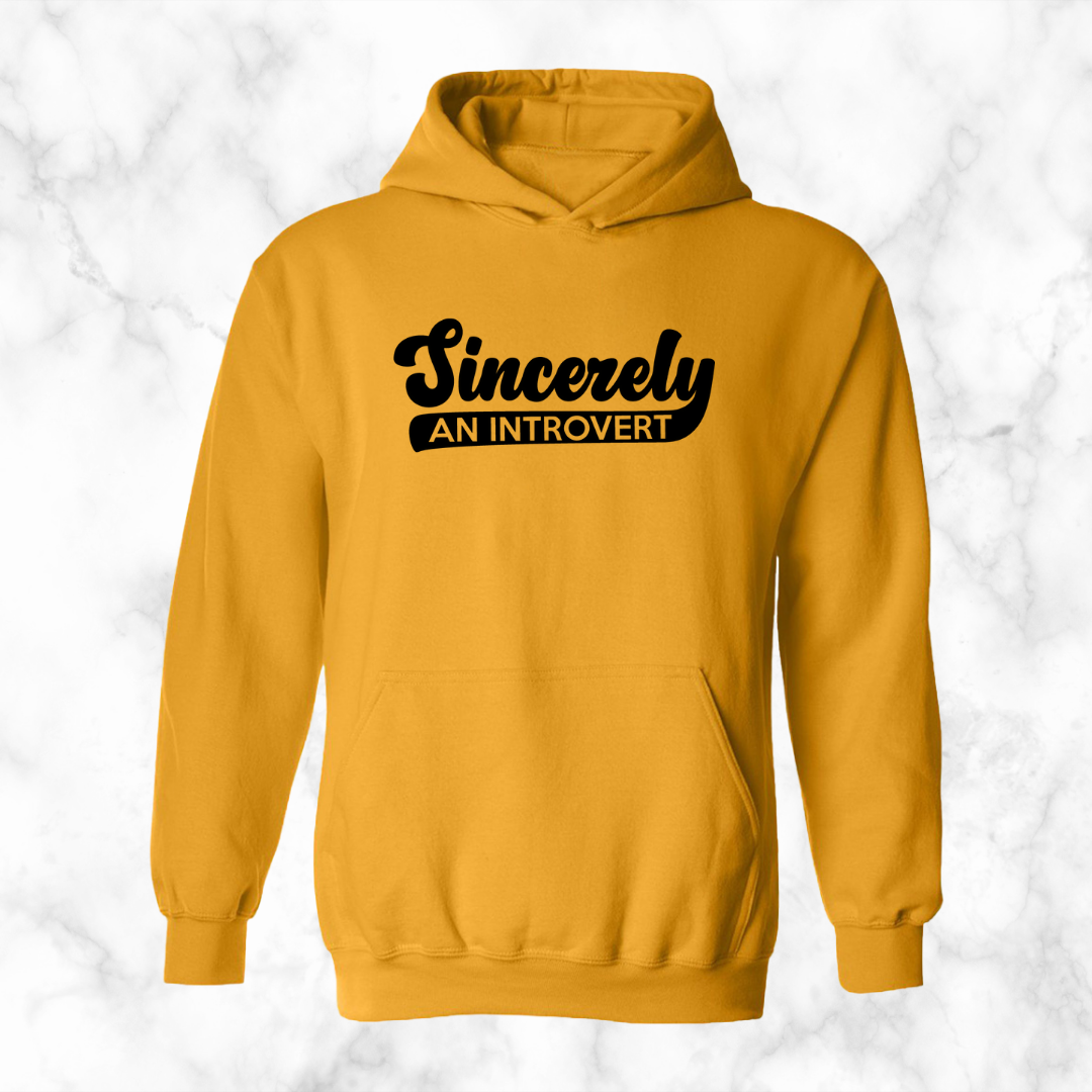 Sincerely, An Introvert Hoodie (Black Logo)