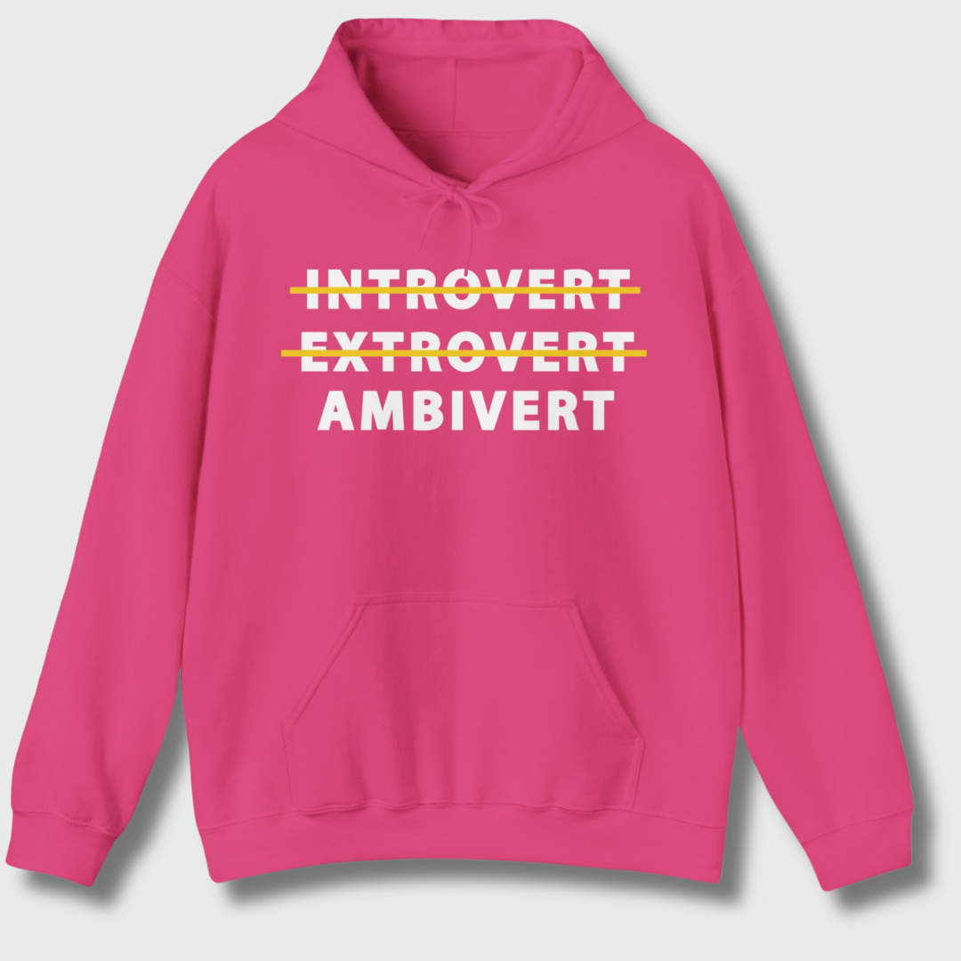 Introvert Extrovert Ambivert Hoodie